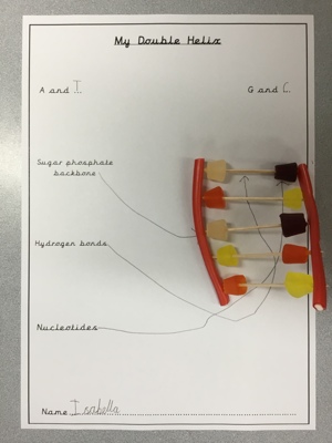 Science week in Sycamore class