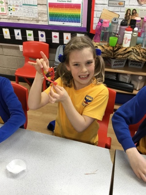 Science week in Sycamore class